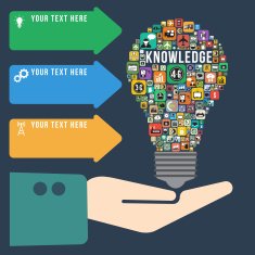 Light bulb with Knowledge infographics vector format
