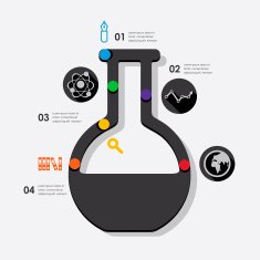 Education Infographic N47