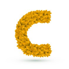 3d yellow leaves alphabet C