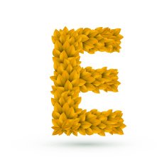 3d yellow leaves alphabet E