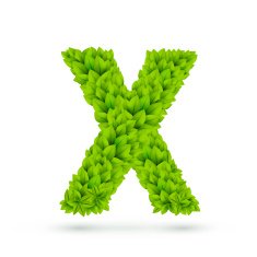 3d green leaves alphabet X