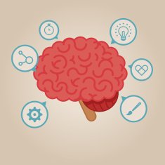 Brain Illustration N46