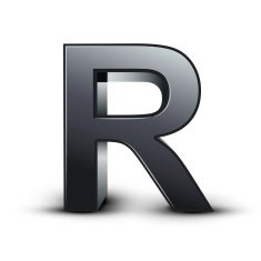 3d black letter R