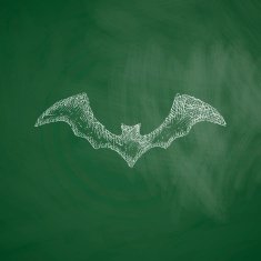 bat icon N9