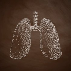 lung icon N3
