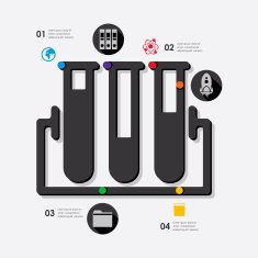 Education Infographic N62