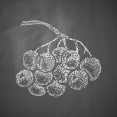 berries icon N3