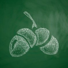 acorns icon N4
