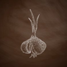 onion icon N3