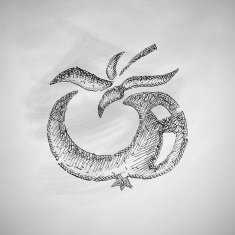 tomato icon N3