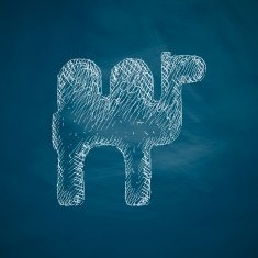 camel icon N7