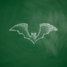 bat icon N13