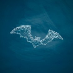 bat icon N15