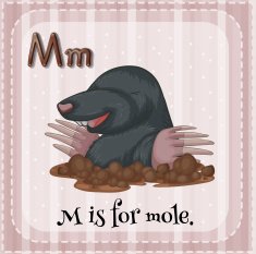 Letter M N42
