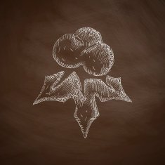 holly berries icon N2
