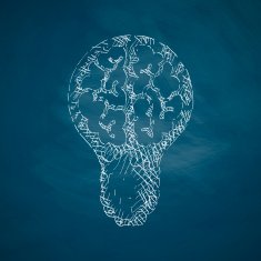 Lightbulb icon N6