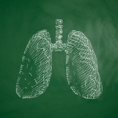 lung icon N5