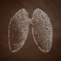 lung icon N6