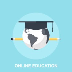 Online education N11