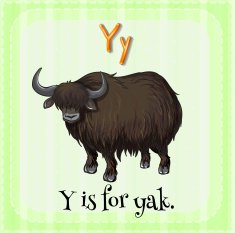 Letter Y N16