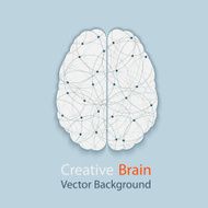 Human Brain N21