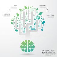 Vector infographic brain education and science concept