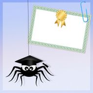 spider with diploma