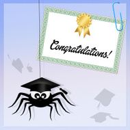 spider graduate