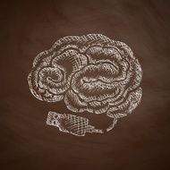Brain Icon N21