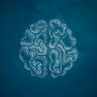 Brain Icon N24