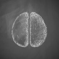 Brain Icon N25