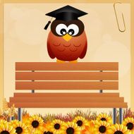 owl graduate