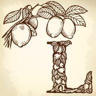 lemon letter L N2
