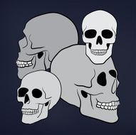 Human Skulls N2