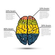 Brain infographics design Design template workflow layout diagram vector