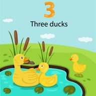 Illustrator of number three with ducks