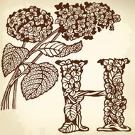Hydrangea N3
