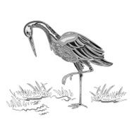 White Stork vintage engraving vector