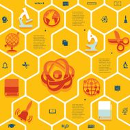 Education flat infographic N68