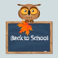 funny owl with school board