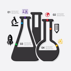 Education Infographic N78