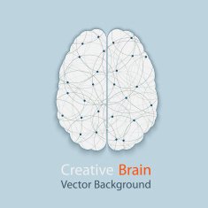 Human Brain N21