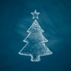 Christmas Tree Icon N9