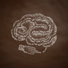 Brain Icon N21