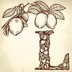 lemon letter L N2