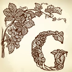 grapes letter G N2