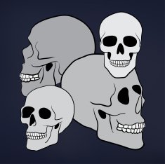 Human Skulls N2