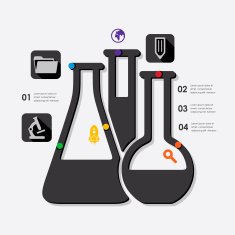 Education Infographic N92
