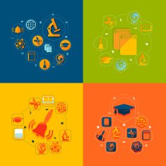 Education flat infographic N12