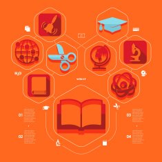 Education flat infographic N13